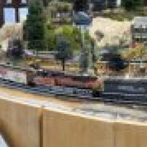 Profile photo of Lon