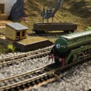 Profile photo of Coxydave