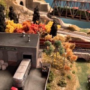 Profile photo of BillC