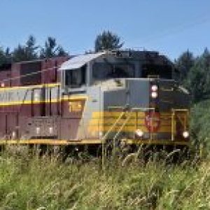 Profile photo of Ruedy