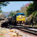 Profile photo of SAK