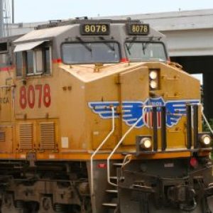 Profile photo of Colin