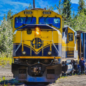 Profile photo of joeybinthegrove