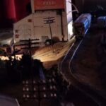 Profile photo of LCTrains