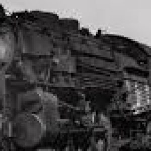 Profile photo of csxsuperfan