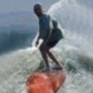 Profile photo of TimberSurf