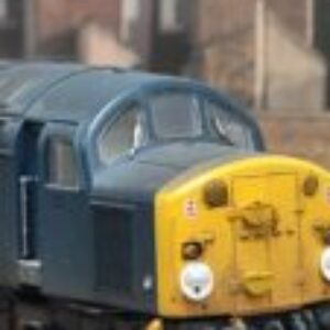 Profile photo of Stescan