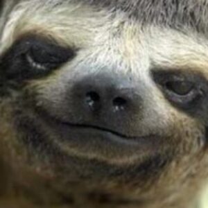 Profile photo of GatherleyModelRailway