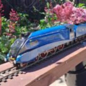 Profile photo of B1SHQP