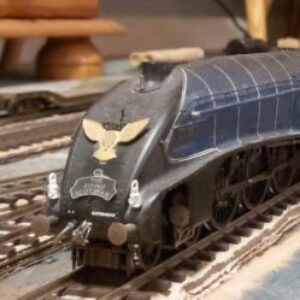 Profile photo of A4GoldenEagle