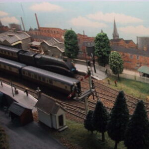 Profile photo of Chappers