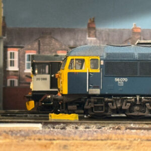 Profile photo of AshfieldTMD