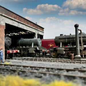 Profile photo of NewtonGrove