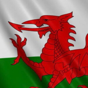 Profile photo of Taff_MerlinOTT