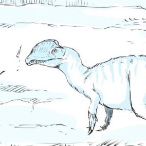 Profile photo of Yutyrannus716