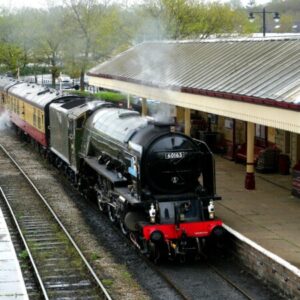 Profile photo of Jonstrains21
