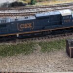 carlsnscale