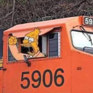 Profile photo of CrisRV