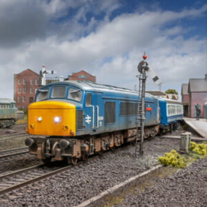 Profile photo of sandfordeast