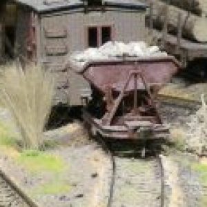 Profile photo of Salidaeriogrande