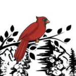CardinalRiverModels