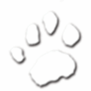 Profile photo of CatzPaw164