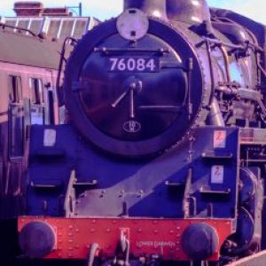 Profile photo of Lodgie