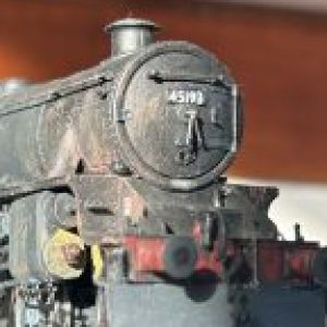Profile photo of NorthEastAlbert