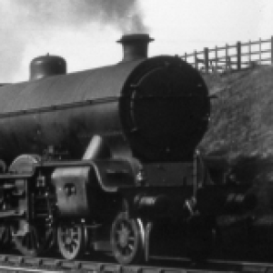 Profile photo of LYR-Veg