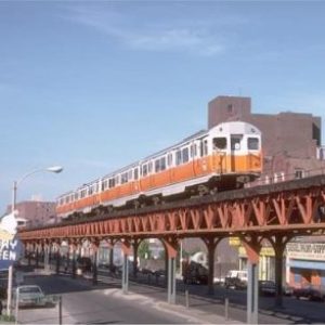 Profile photo of Ziggy