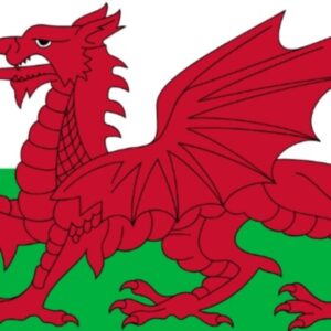 Group logo of Welsh Railway Modellers