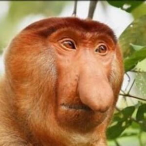 Group logo of Model Railway Fun Group